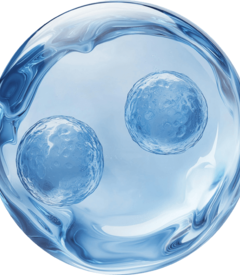 Acide hyaluronique