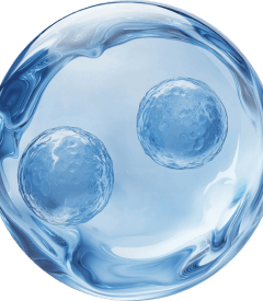 Acide hyaluronique