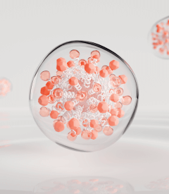 Broussonetia, actif Avène