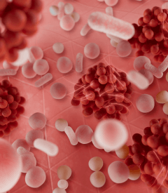 xera calm technologie d'action