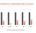 In vitro study on RHE, effect of XeraCalm