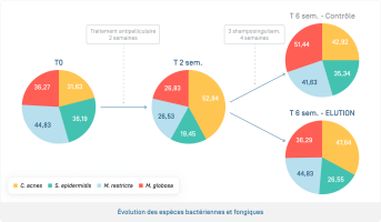 Elution · Évolution des espèces bactériennes et fongiques