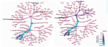 graph 3 interactome