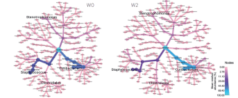 graph 4 INTERACTOME