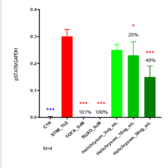 STAT6 phosphorylation