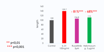 Neurite length