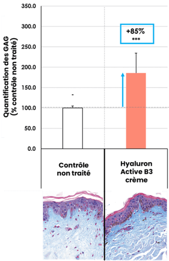 HAB3_crème régénération cellulaire_Résultts pharmaco_Image 1