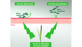 L’Extrait-d’Avoine-Rhealba®---Effet-anti-adhésion-détachant.jpg