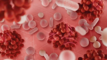 Visuel Carrousel Avène XAD