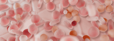 Header JDP 2025-Avène