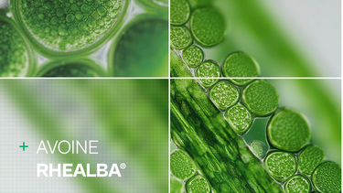 avoine rhealba