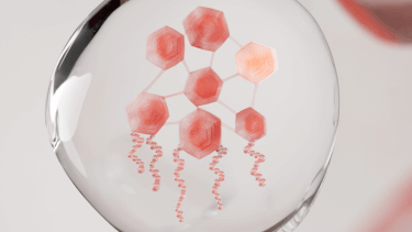 AVENE-ACTIF-IMODULIA